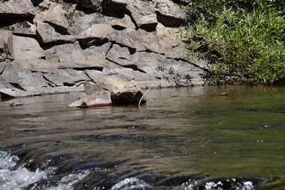 DSC_3618 (Large).JPG